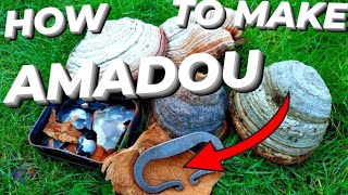 HOW TO PROCESS AMADOU FROM THE HORSES HOOF FUNGUS | BUSHCRAFT FIRELIGHTING | FOMMES FOMENTARIUS