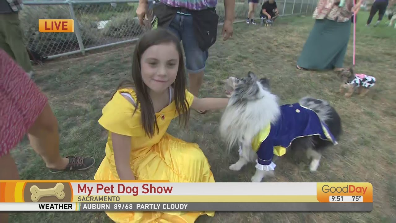 My Pet Dog Show YouTube