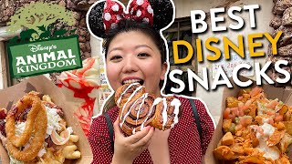 WHAT TO EAT AT ANIMAL KINGDOM ! Disneyworld Food Tour