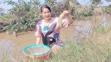 Bẫy Cá 12 Cửa Ngục Trúng Cá Trê Vàng Ngon |cẩm Tiên Vlog