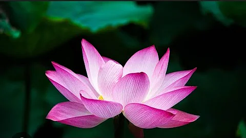 The devil taught me how to play Chess, then put me in a Chess game for my life.