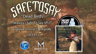 Watch Safe To Say Dead Birds video