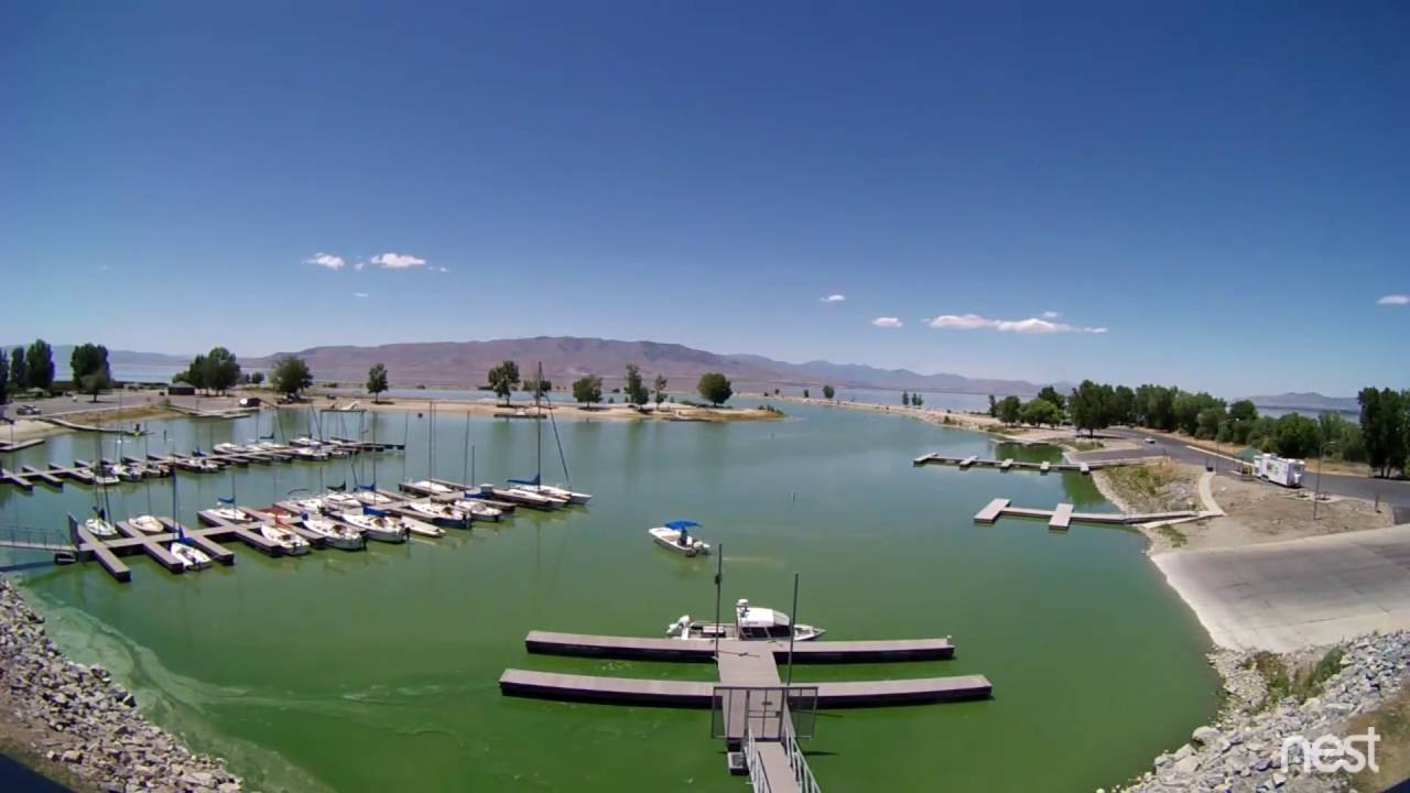 Algal bloom returns to Provo Bay in Utah Lake, poses danger to humans, pets