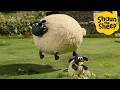 Can Sheep Fly Shaun The Sheep Cartoons For Kids Full Episodes Compilation 1 Hour 