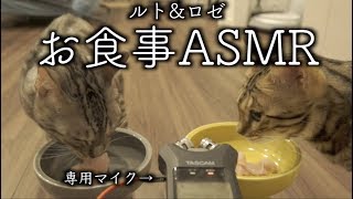 ルトとロゼのASMR〜お食事編〜