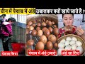 चीनी लोग पेशाब मे अंडे उबालकर क्यों खाते है? 20 Most Amazing Facts In Hindi \Random Facts\RTS EP 167