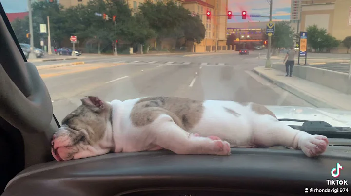 Sleepy Baby