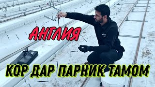 Кор дар Англия дар парник кор тамом шид мода 4 июля 2023 г.