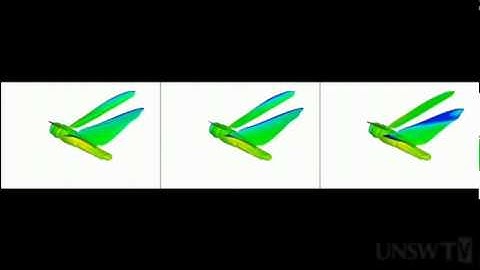 Secrets of Insect Flight Revealed