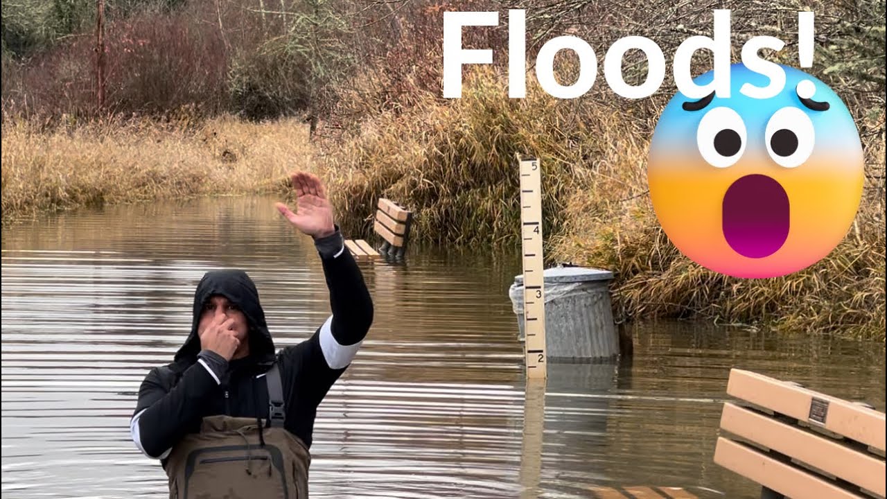 Winter Weather in Salem, OR [Don't Move Here Unless You Can Handle This]