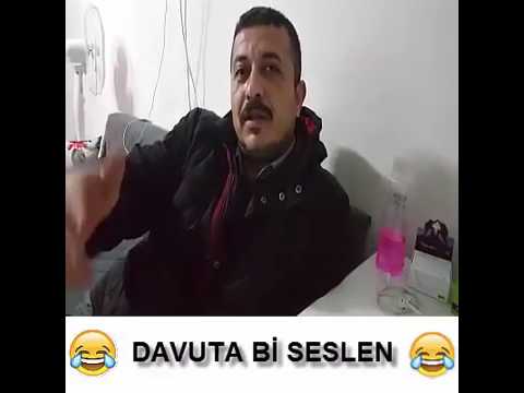 Şu davuta bi seslensene diyen kedi çok komik.