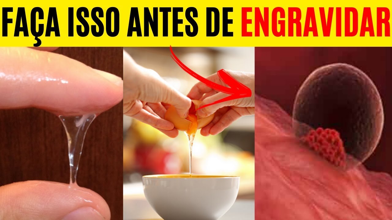 COMO engravidar mais RÁPIDO dicas para engravidar VEJA essas dicas para ...