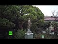 Зимний Крым: Ботанический сад
