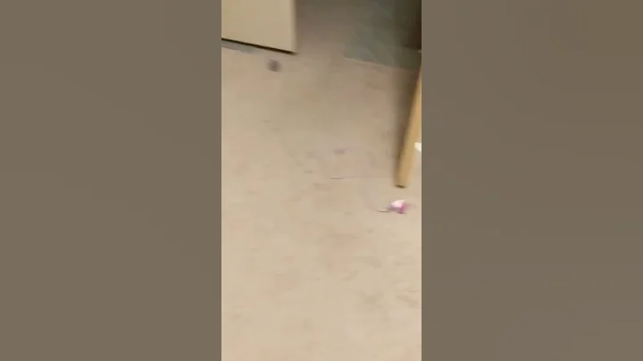 September 10, 2017