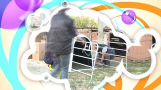 Ahirim Şahane Jeneri̇k