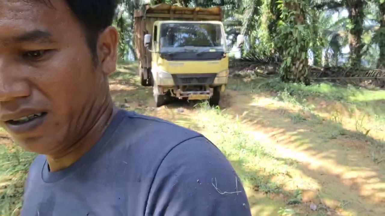 Langsir sawit pake mobil coldisel bak tongkang