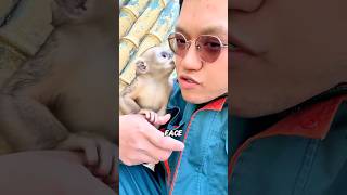 XL Monkey Kisses You—Fur Is a GIFT! 🐒💛#animals #science #shortfeed #cute #monkey