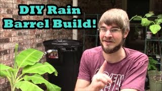 DIY Rainwater Barrel for $35 or Less!