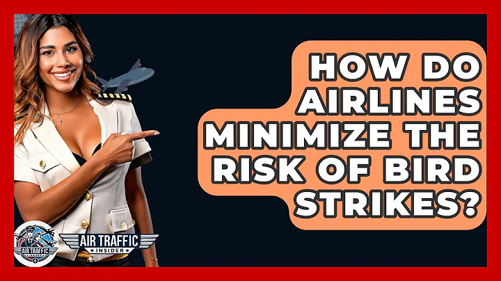 How Do Airlines Minimize The Risk Of Bird Strikes? - Air Traffic Insider