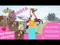 TOP STALLION DAKOTA Breeding Training WINNING! Rival Stars Horse Racing
