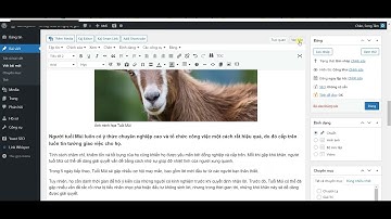Sử dụng Kaj Smart Link  - Wordpress -  Auto chèn Internal Link tự động thông minh nhất hiện nay.
