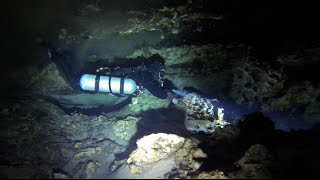 Cave on the Chipola River