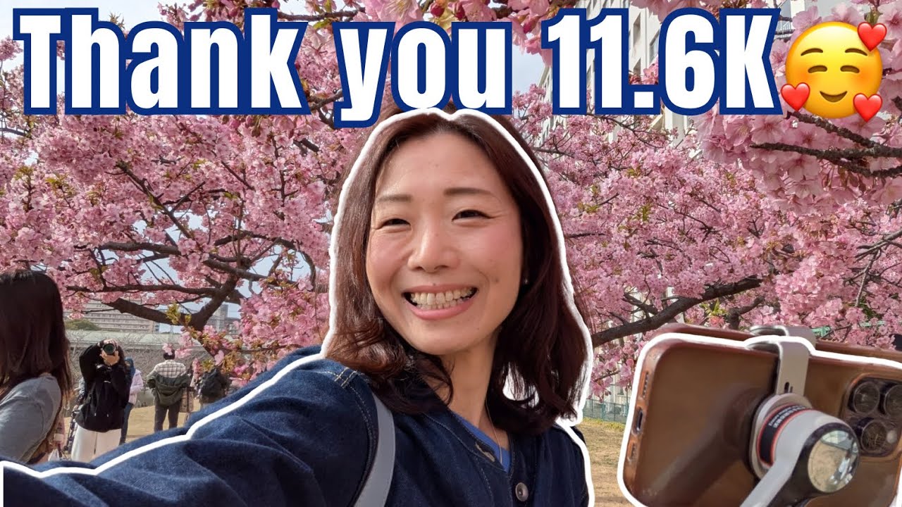 Thank you 11.6K 🌸🏞️Early Sakura Picnic by the River | Tokyo #cherryblossoms #tokyolivestream