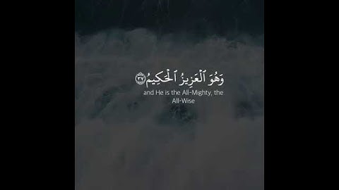 ﴿فَلَّلهِ الحَمدُ رَبِّ السَّماوات وَرَبّ الأَرضِ رَبّ العالَمينَ/سورة الجاثية/القارئ احمد خضر/♥♥