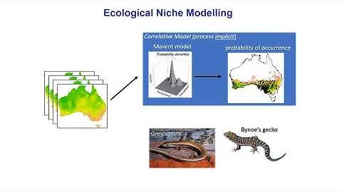 ENM2020 - W33T1 - Mechanistic Models - a