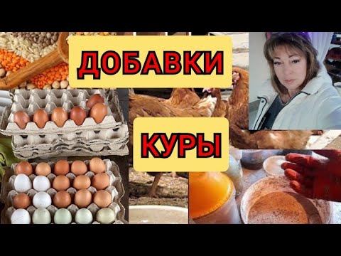 Болталка//Перец с маслом