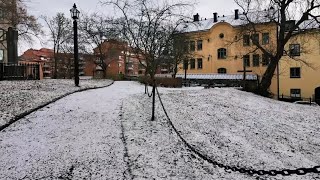 Carl-Gustaf Lindstedt grav/ Kungsholmens kyrkogård, / Stockholm