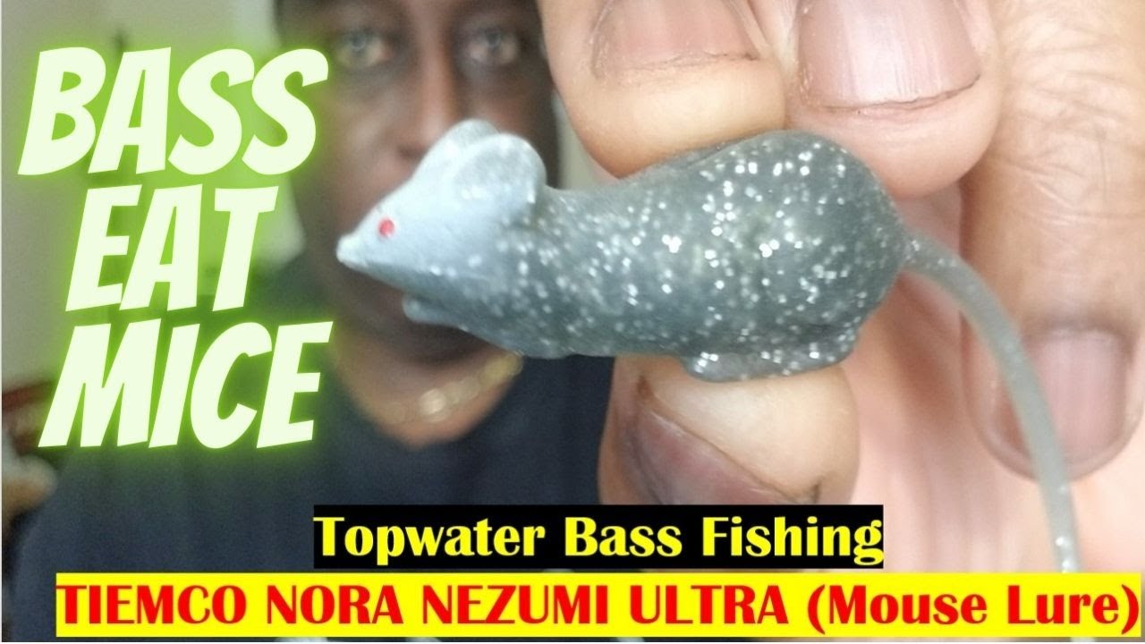 Bass Eat Mouse, NORA NEZUMI ULTRA