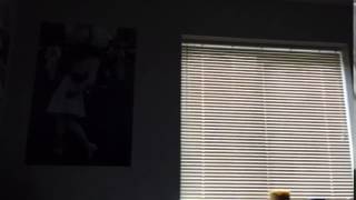 Raw Video Footage 1
