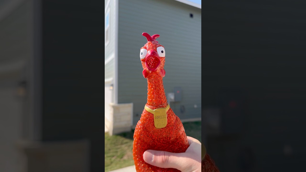 HOUSES IN SAN ANTONIO FOR CHEAP ‼️ 