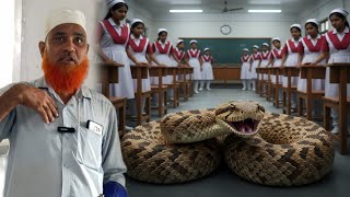 Indian Russell Viper Most Venomous Snake Rescue For A G College of Nursing Dahit