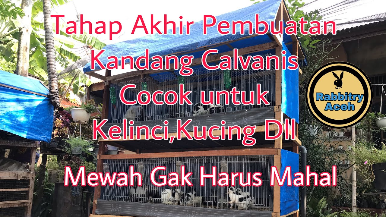 Tahap Akhir Penyelesaian Kandang Galvanis Untuk Kandang Kelinci Sayaaa