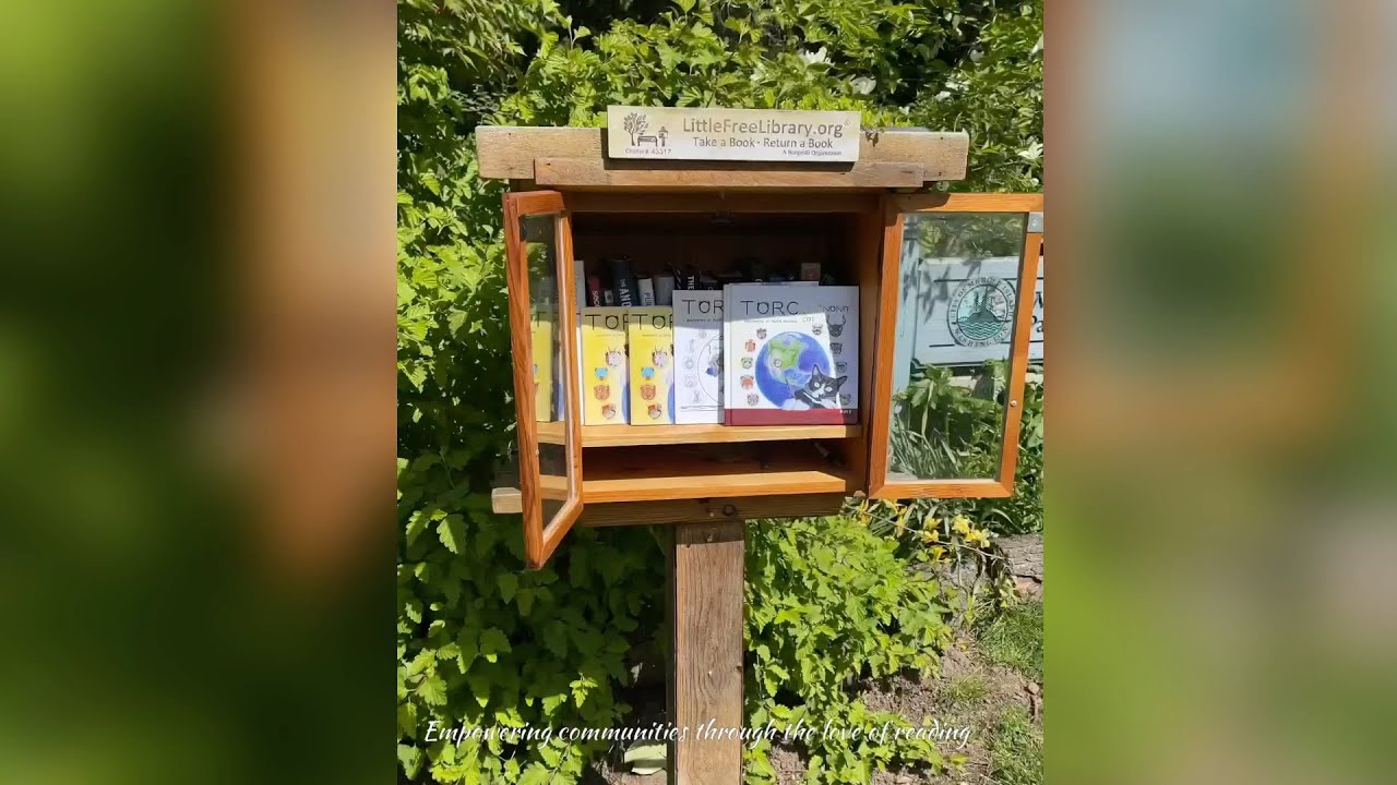Little Free Library tour 📚 Mercer Island 🐈‍⬛ Book donation