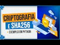 Entendendo a Criptografia e SHA256 com Exemplo em Python