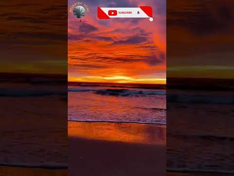 يا رب عفوا فإني خائف وجل