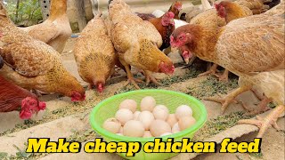 FULL VIDEO: Caring for chickens for 150 days and How to prepare cheap chicken feed .