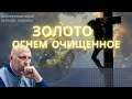 Золото огнем очищенное. Сергей Шепелев