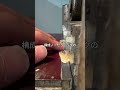 自然界最強の素材