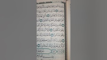 خاشعة ابصارهم ترهقهم ذلة. سورة القلم. قراءة جميلة مميزة الشيخ بيشة الكردي