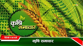 2 pm krishi news