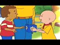 Caillou en Español | Caillou y el Regalo Especial | Dibujos animados para niños | Dibujos Infantiles