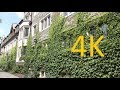 A 4K Tour of Princeton University