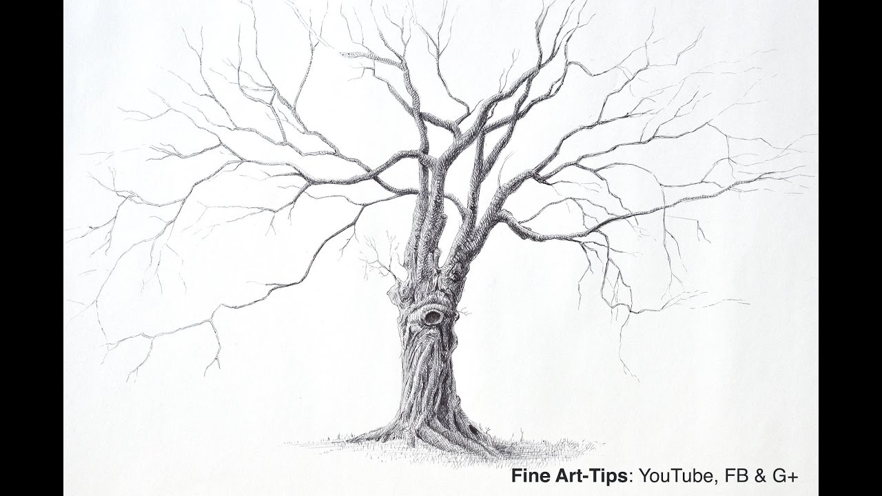 ⁣How to Draw a Beautiful Tree With Pen - Narrated