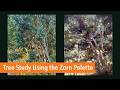 The Zorn Palette | Color Theory &amp; Tree Study in Acrylics