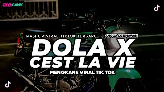 DJ DOLA X CEST LA VIE X MASHUP V1 KANE - VIRAL TIKTOK 2024