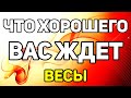 ВЕСЫ. ЧТО ХОРОШЕГО ВАС ЖДЕТ В БЛИЖАЙШЕМ БУДУЩЕМ. ЧТО ВАС ПОРАДУЕТ. ТАРО ОНЛАЙН ГАДАНИЕ.